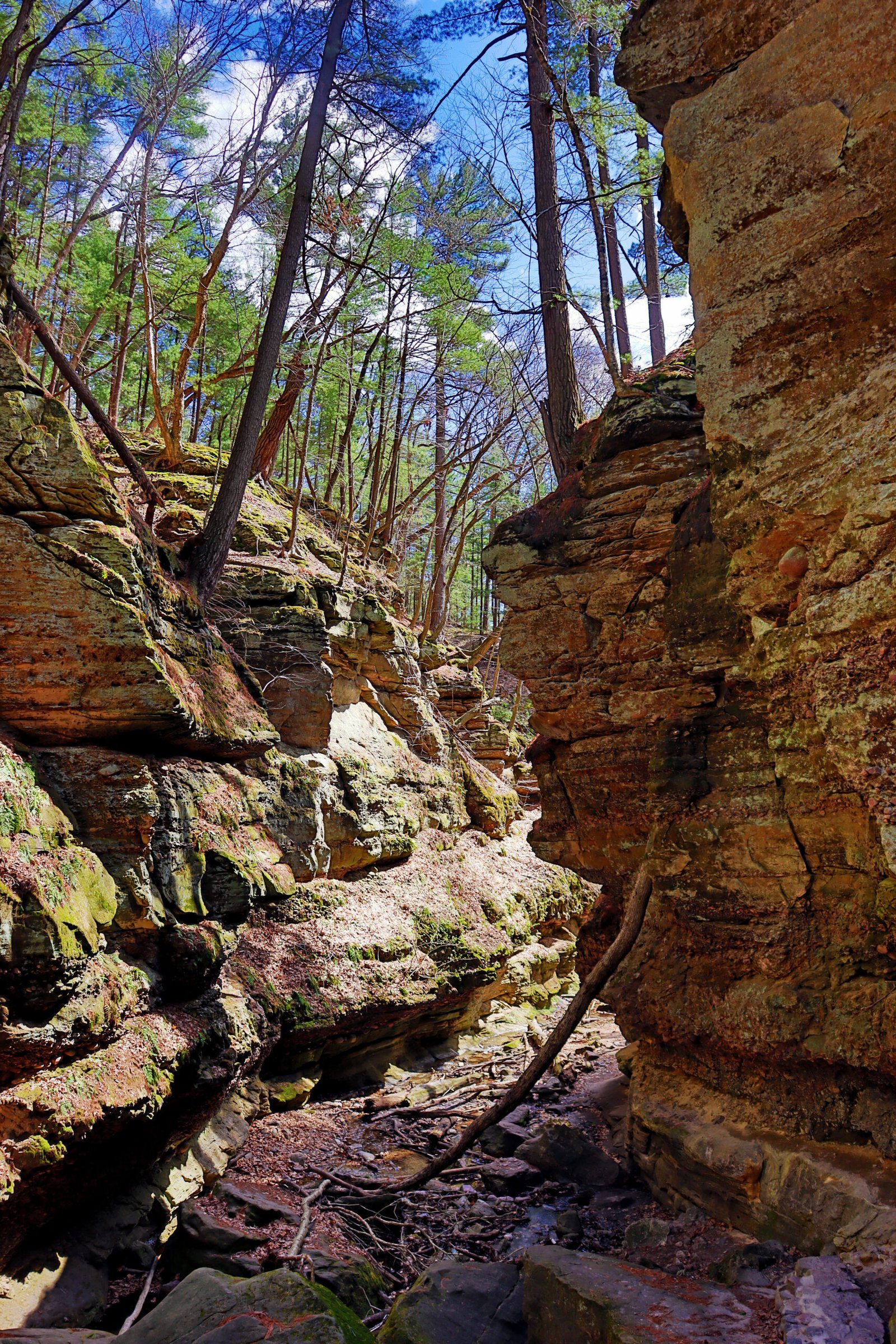 Wisconsin - Parfreys Glen - Canyon Floor