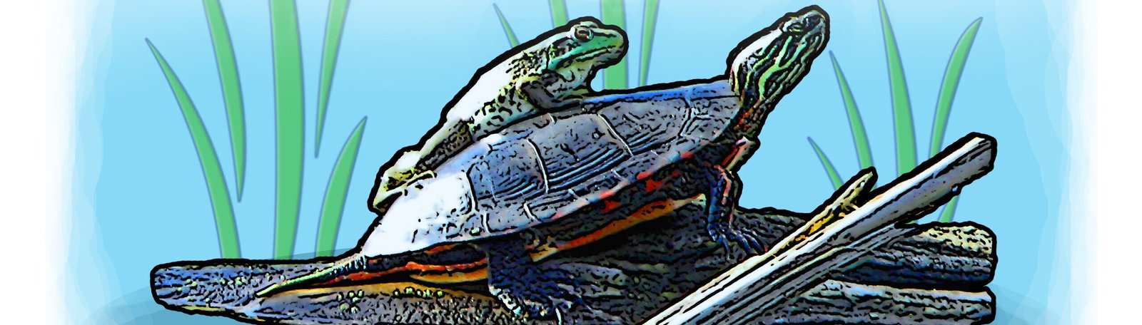 Any - Creature - Frog and Turtle Painting